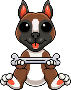 可爱小狗抱骨头