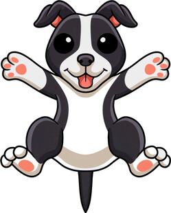 跳跃的可爱黑白小狗