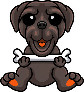 可爱小狗叼着骨头