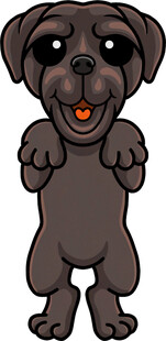 可爱黑小狗站立卖萌