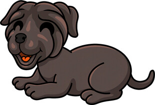 趴着的可爱黑色小狗