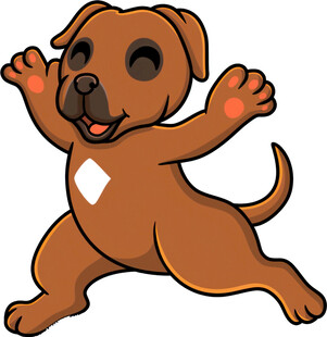 跳跃的可爱小狗