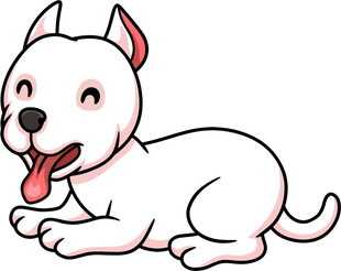 趴着的可爱小白狗