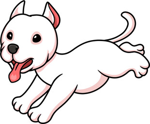 奔跑的可爱小白狗