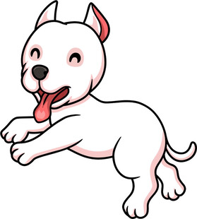 跳跃的可爱小白狗