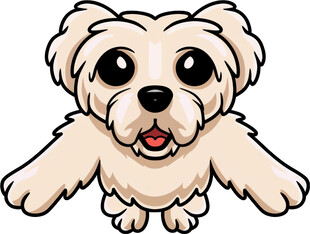 可爱小狗张开双臂