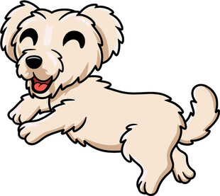 跳跃的可爱小狗