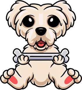 可爱小狗抱骨头