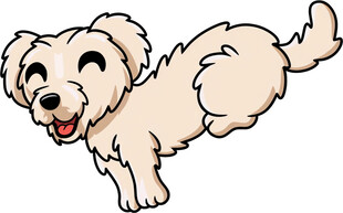 可爱小狗欢快奔跑