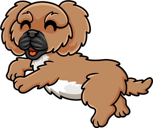 跳跃的可爱小狗