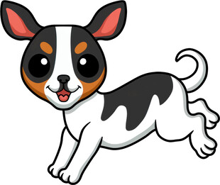 奔跑的可爱吉娃娃小狗