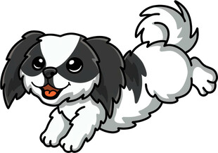 奔跑的可爱黑白小狗