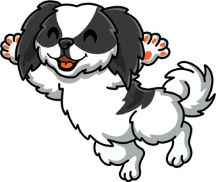 跳跃的可爱黑白小狗