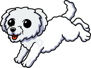 奔跑的可爱小白狗