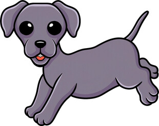 可爱小灰狗欢快奔跑