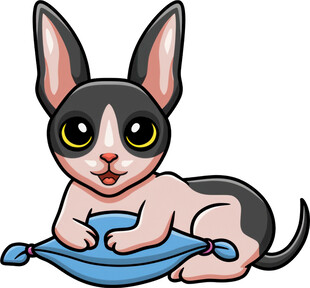 可爱猫咪趴在蓝色垫子上