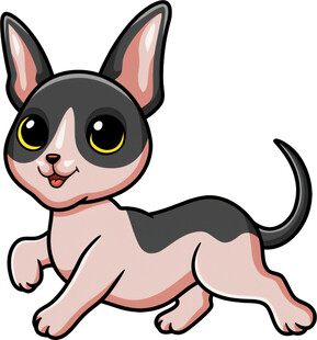 可爱奔跑的吉娃娃小狗