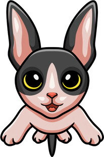 可爱三色短毛猫卡通形象