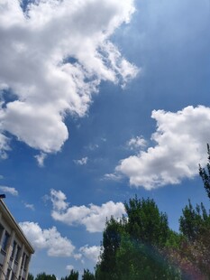 蓝天白云下的绿树与建筑