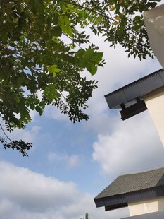 树梢下的建筑一角