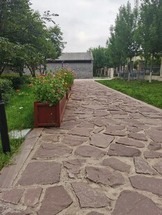 石板小径旁绿植点缀