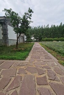 石板小径通向绿意田园