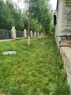 户外草地旁的石柱景观