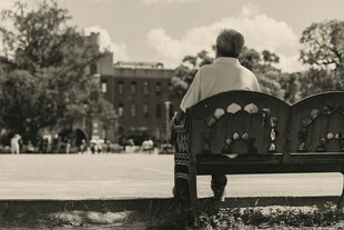 老人独坐长椅赏景