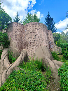 巨大树根盘绕的奇特岩石