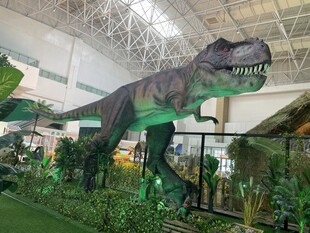 室内恐龙模型展览场景