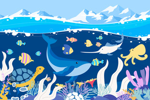 海洋日海底世界