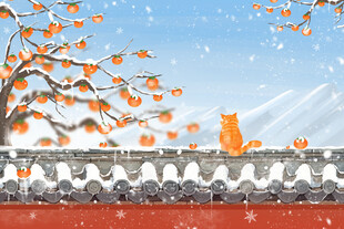 雪后墙头橘猫赏景