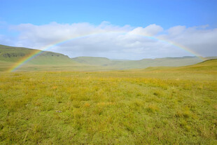 草原上的彩虹