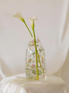 透明花瓶中的白色马蹄莲