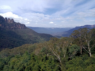 悉尼蓝山壮丽山林景观
