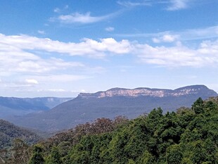 悉尼蓝山自然风景