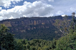 悉尼蓝山自然风景