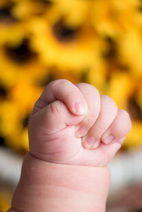 婴儿紧握的小拳头