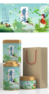 普洱茶中式风茶叶包装礼盒展示
