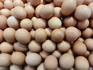 一堆新鲜鸡蛋特写