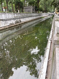 城市中静谧的绿水河道