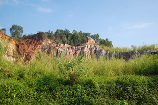 野外山坡绿植与岩石景观
