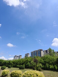 蓝天绿树旁的城市建筑群