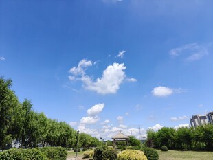 蓝天绿树间的清新景致