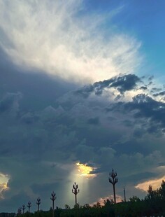 夕阳下的树木与壮丽云层