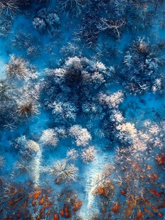 梦幻海底珊瑚景观