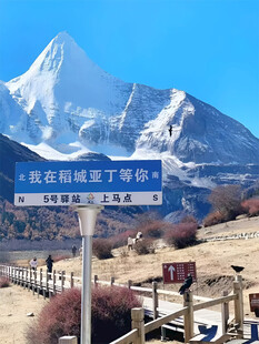 雪山下的观景台