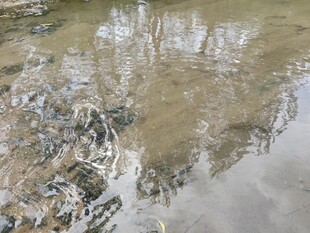 泥泞积水地面景象