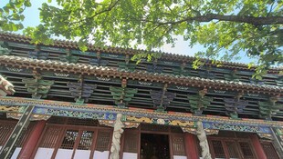 中式古建筑屋檐与绿树