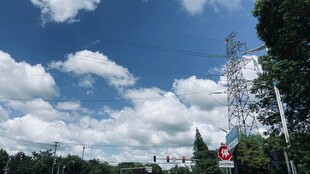 蓝天白云下的绿树风景